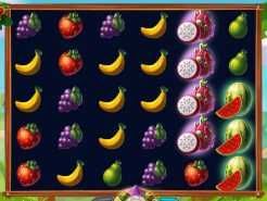 Fruity Feast