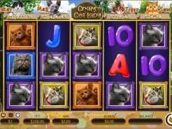 Crazy Cat Lady Slots